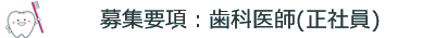 歯科医師（正社員）の募集要項