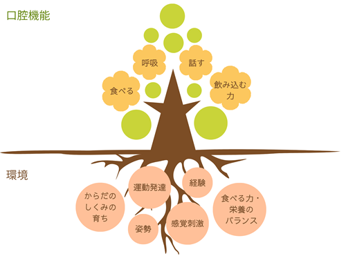 からふるの支援　口腔機能イメージ図